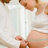 Средние размеры матки в первом триместре беременности